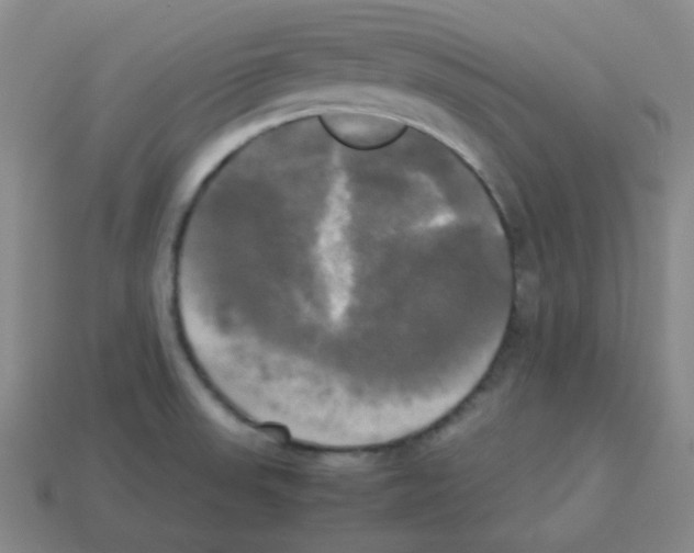 X0000113251523200910221111