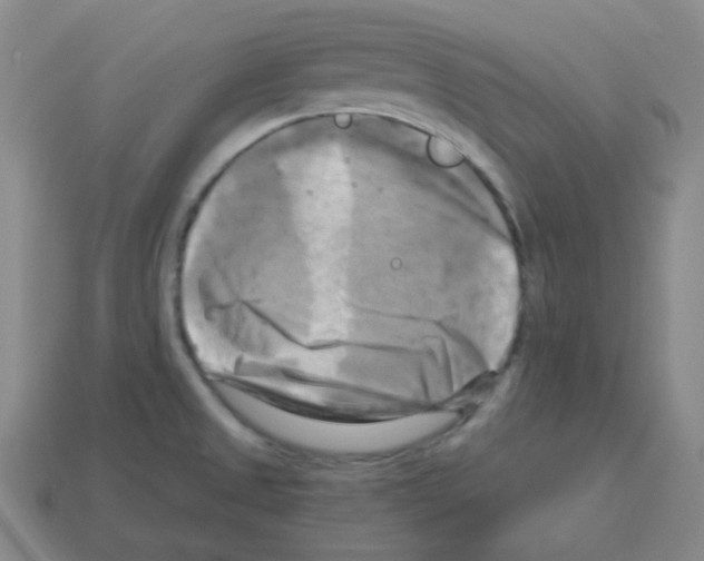 X0000113251525200910221111