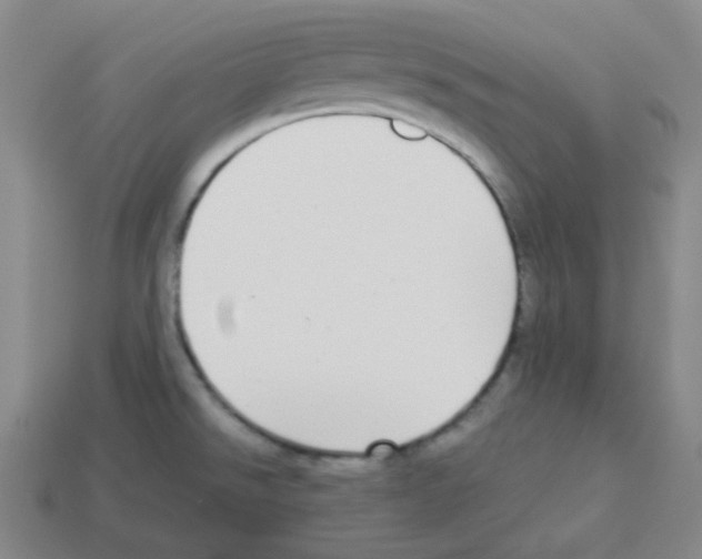 X0000113251526200910221111