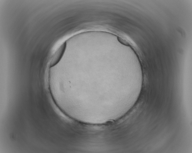 X0000113251528200910221111