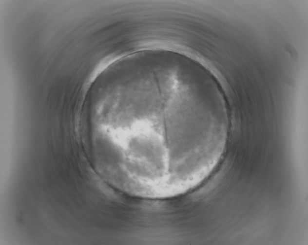 X0000113251529200910221111