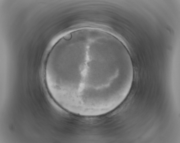 X0000113251531200910221111