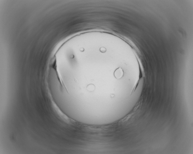 X0000113251532200910221111