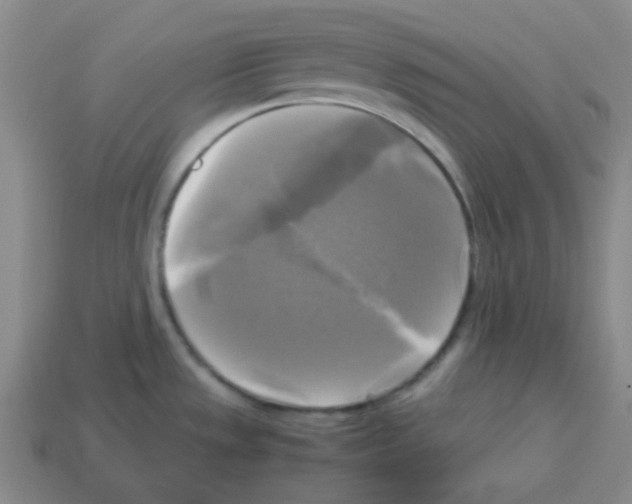 X0000113251533200910221111