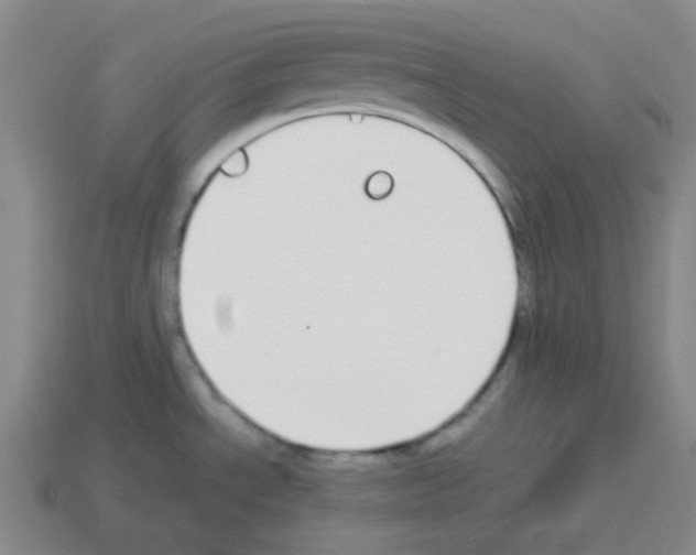 X0000113251534200910221111