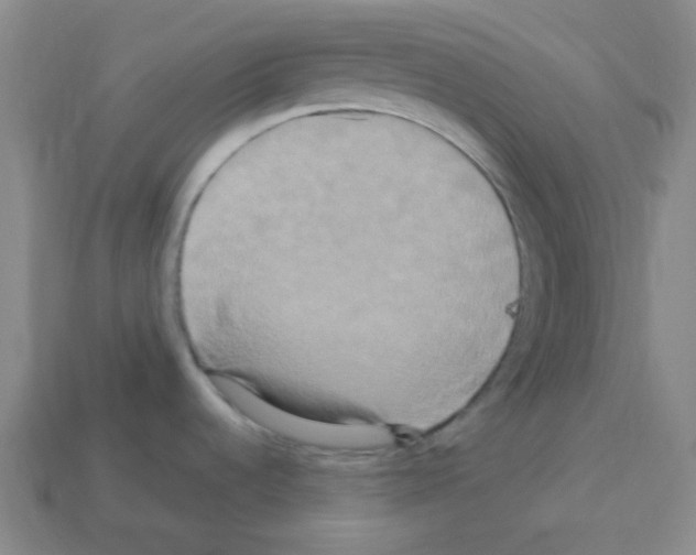 X0000113251536200910221111