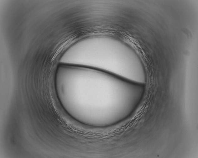 X0000113260001200909101300