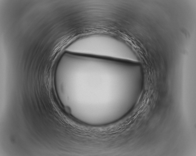 X0000113260002200909101300