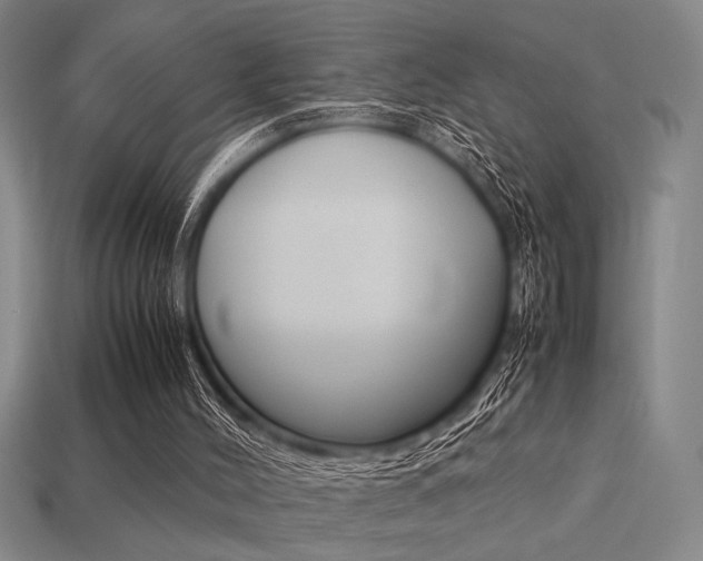 X0000113260004200909101300