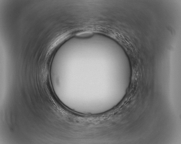 X0000113260005200909101259