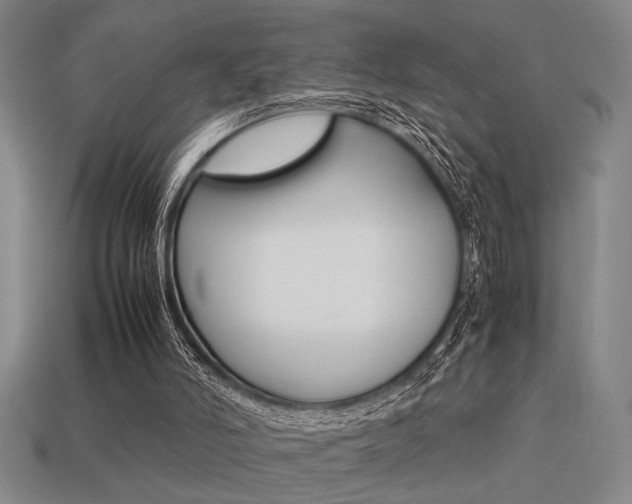 X0000113260006200909101259