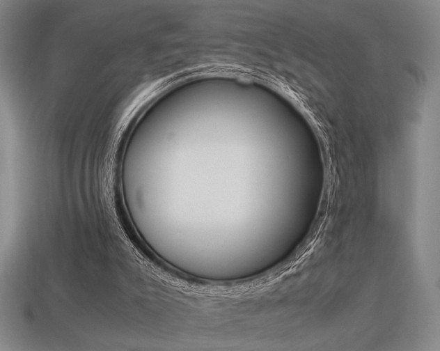 X0000113260007200909101259