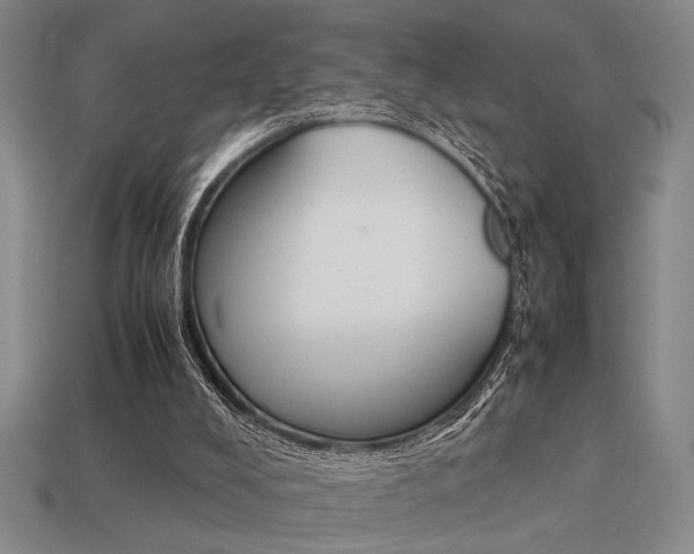 X0000113260008200909101259