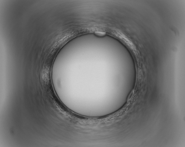 X0000113260009200909101259