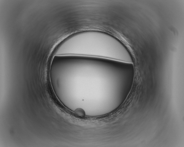 X0000113260012200909101259