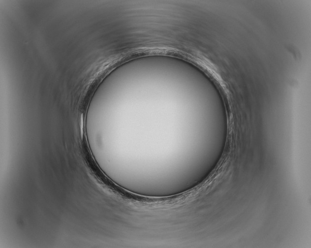 X0000113260013200909101259