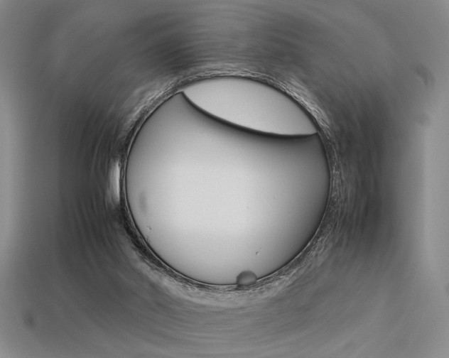 X0000113260014200909101259