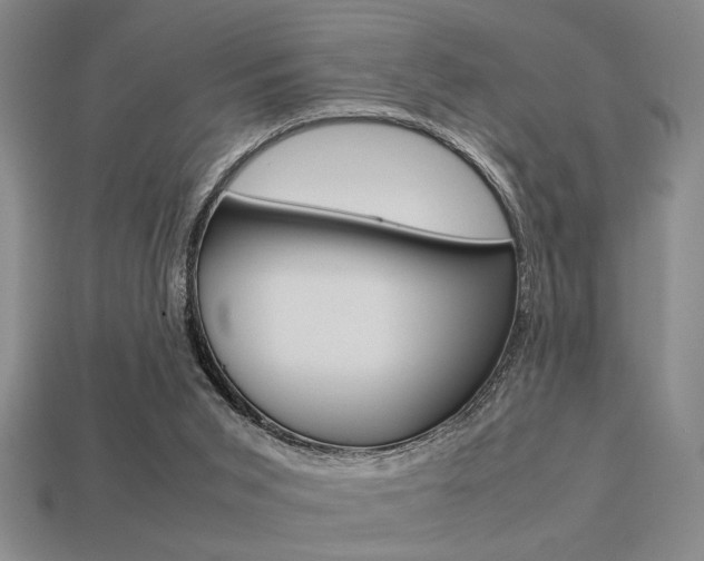 X0000113260015200909101259