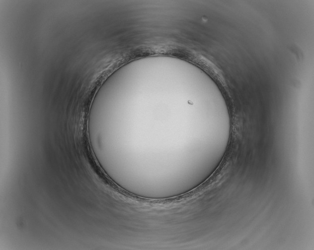 X0000113260018200909101259