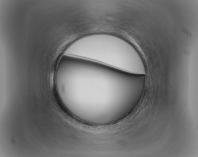 X0000113260019200909101259