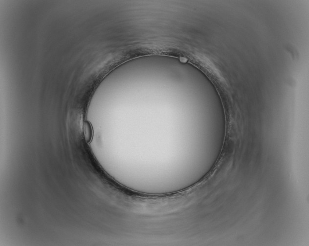 X0000113260021200909101259