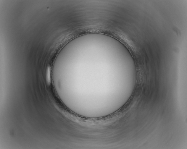 X0000113260022200909101259