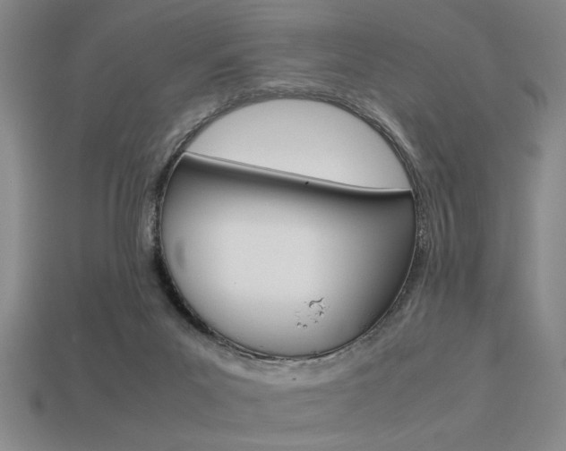 X0000113260023200909101259