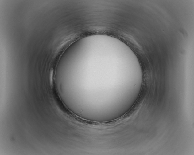 X0000113260024200909101259