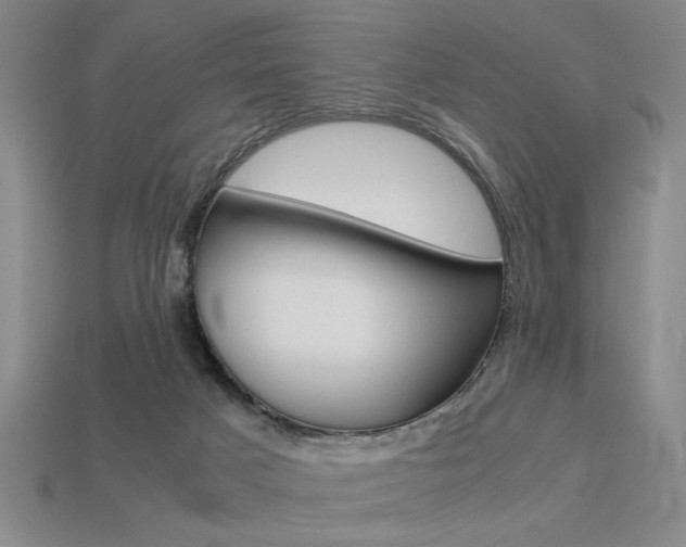 X0000113260025200909101259