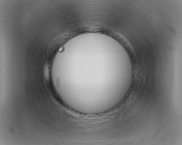 X0000113260026200909101259