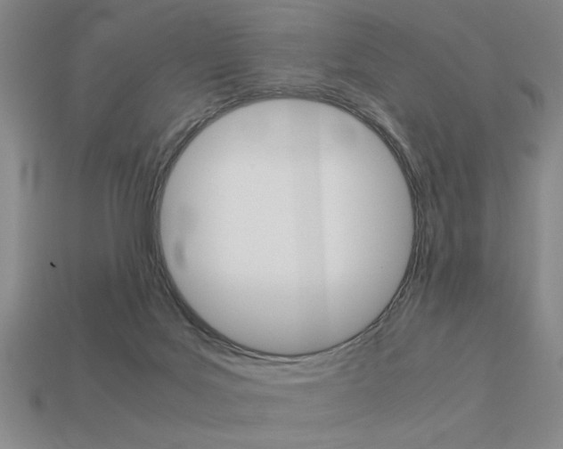 X0000113260027200909101259