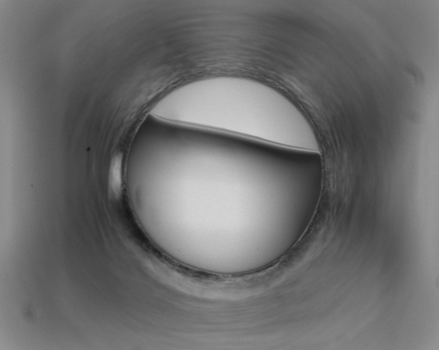 X0000113260028200909101259