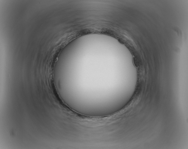 X0000113260029200909101259