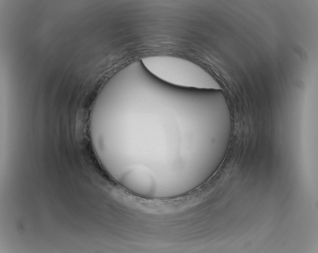 X0000113260030200909101259