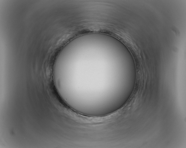 X0000113260031200909101259