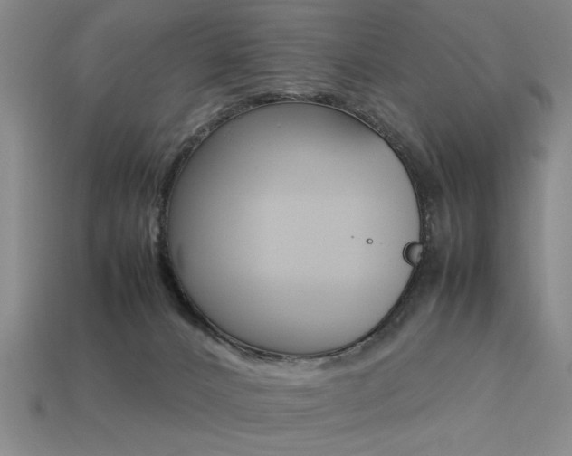 X0000113260032200909101259