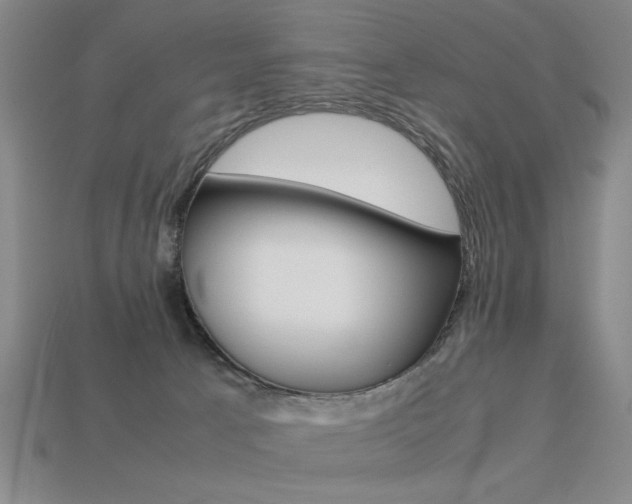 X0000113260033200909101259