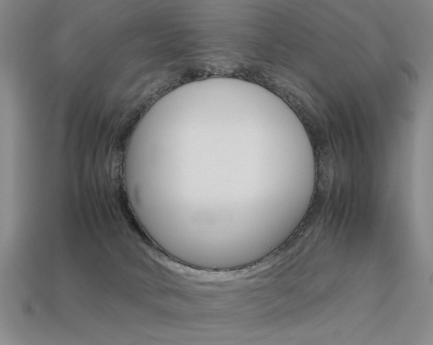 X0000113260034200909101259