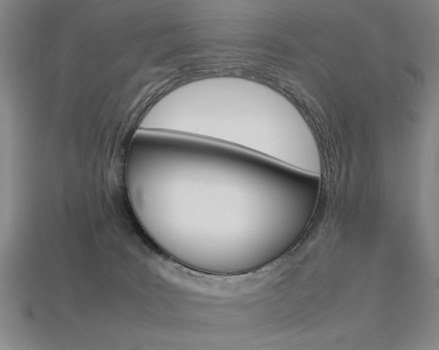 X0000113260035200909101259