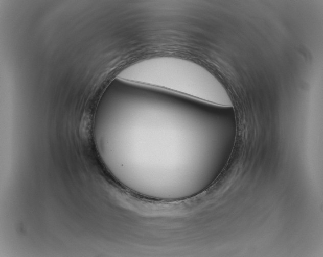 X0000113260036200909101259