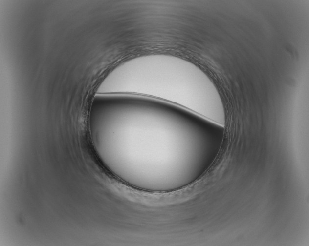 X0000113260039200909101259