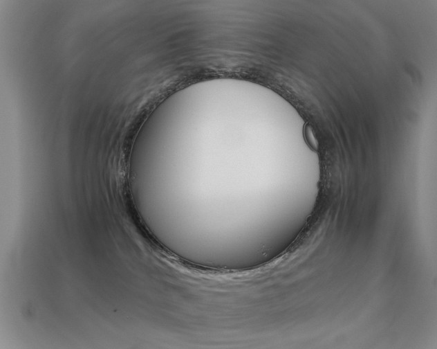 X0000113260040200909101259