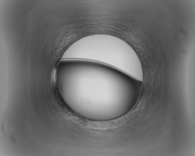 X0000113260041200909101259