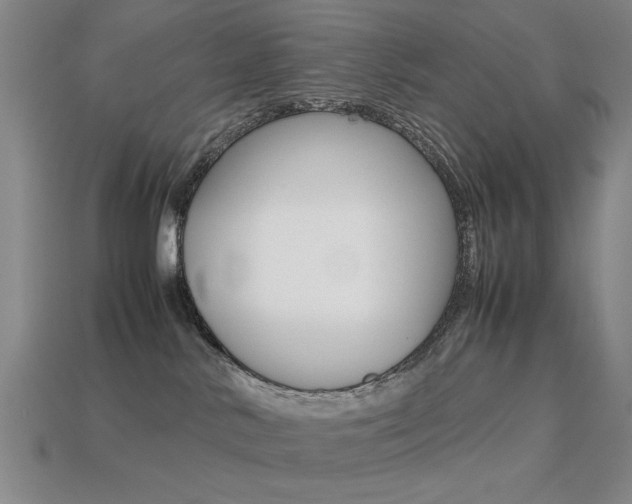 X0000113260042200909101259