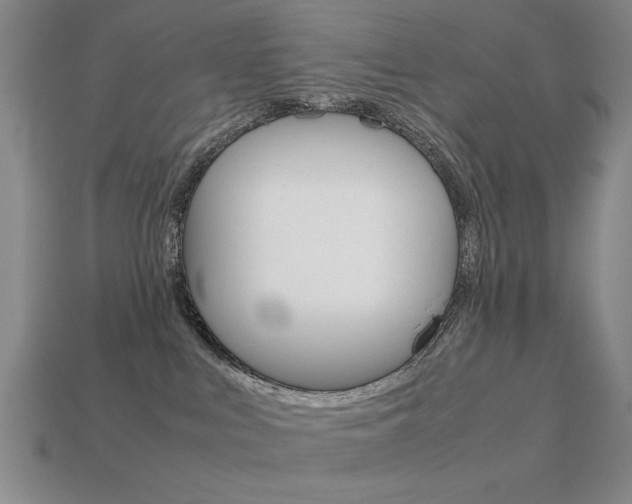 X0000113260043200909101259