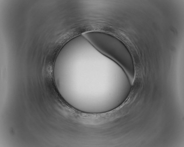 X0000113260045200909101259