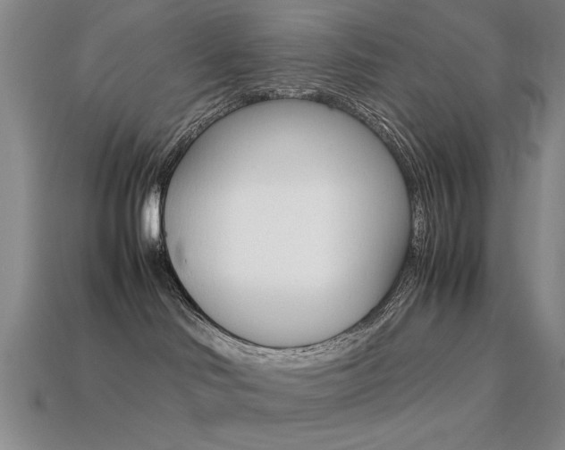 X0000113260046200909101259