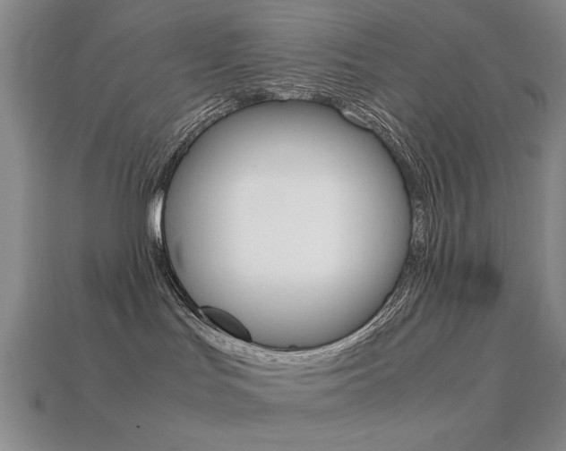 X0000113260047200909101259