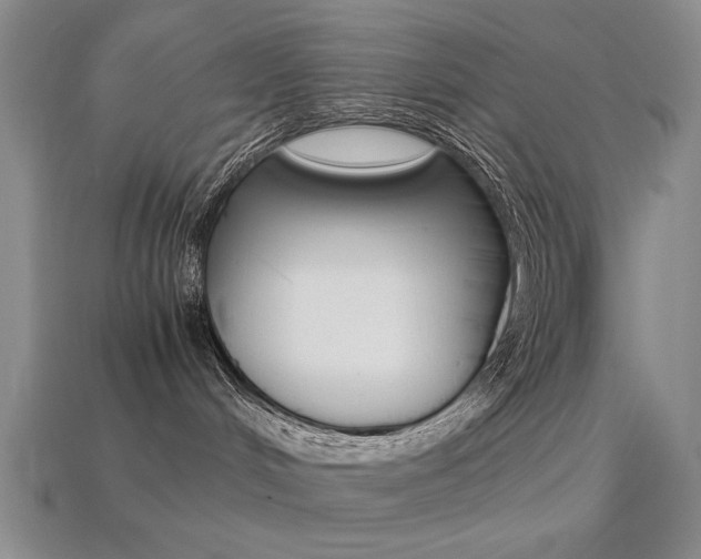 X0000113260048200909101259