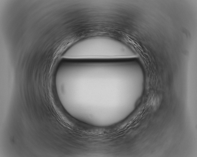 X0000113260049200909101258